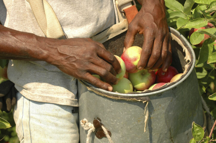 migrant workers temporary migrant workers