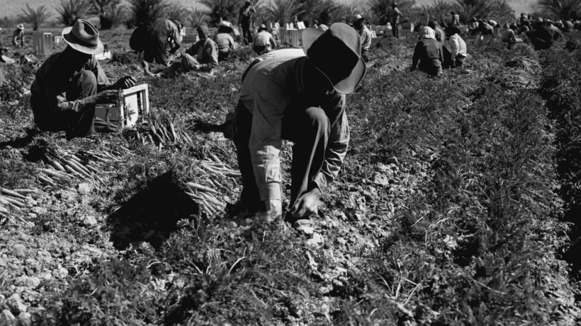 COVID-19, migrant workers, temporary workers, international students, Canada, farm workers, foreign workers