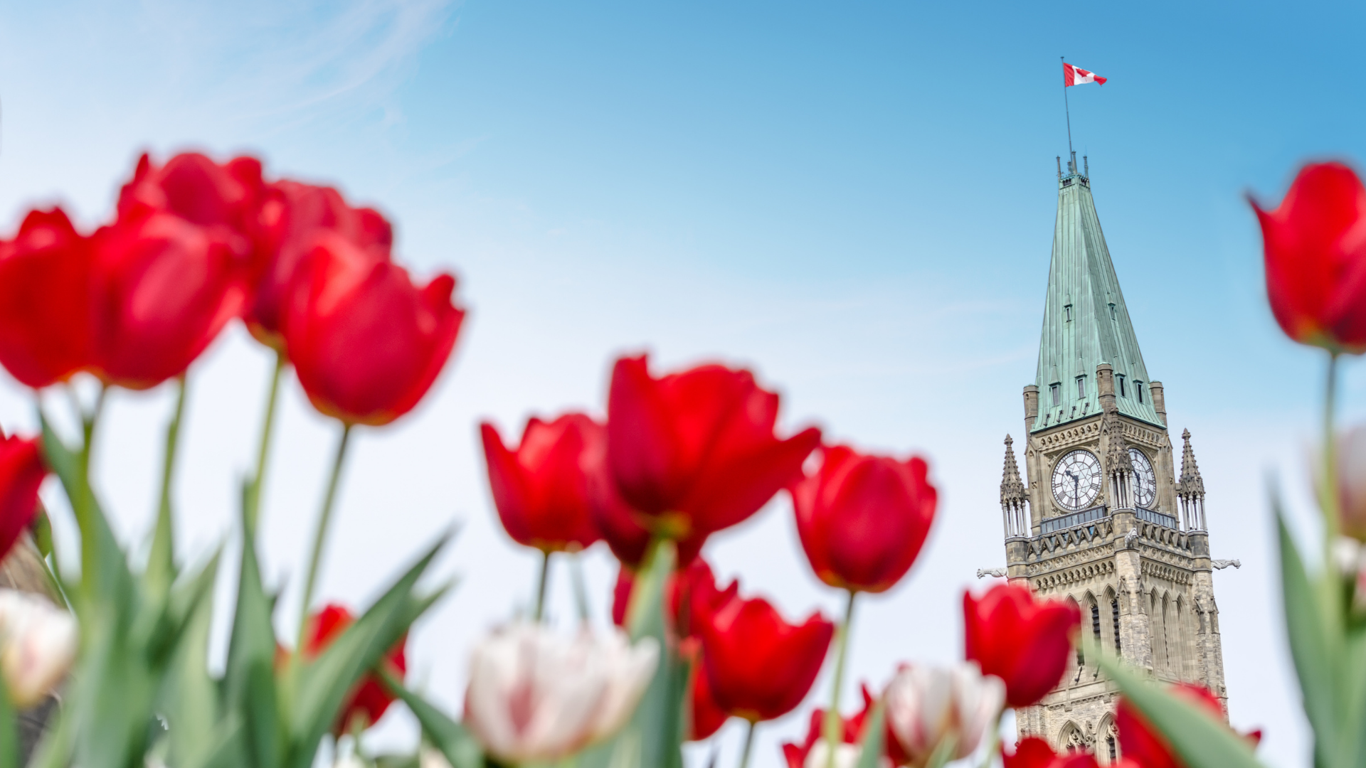 Immigration Canada Ottawa Tulip Dutch Royal Family Princess Margriet