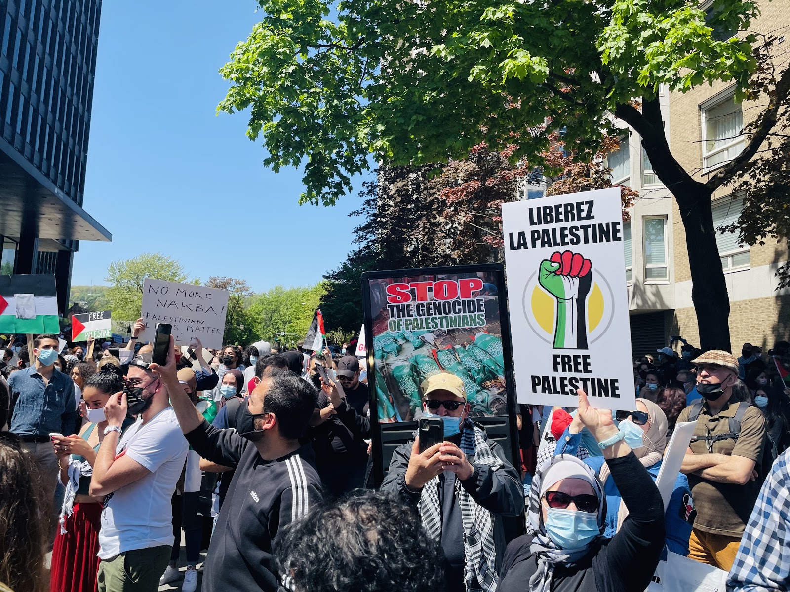 Demonstrators at a rally