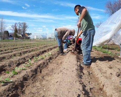 Travailleurs agricoles