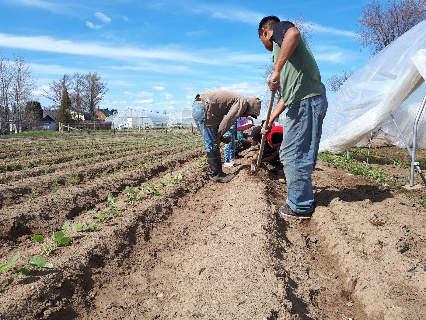 Travailleurs agricoles