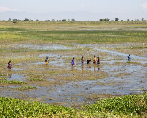 As climate change refugees increase, Canada needs to implement new policy to help welcome more of them.