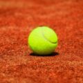 With Djokovic out of the country, more questions than answers arise about that country's immigration authorities' powers.