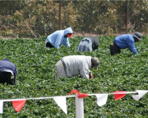 Migrant workers in rural town face systemic exploitation