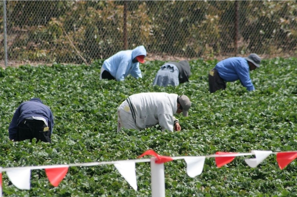 Migrant workers in rural town face systemic exploitation