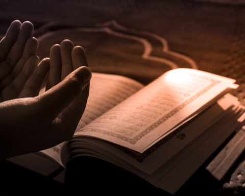 praying hands over a religious book, religion